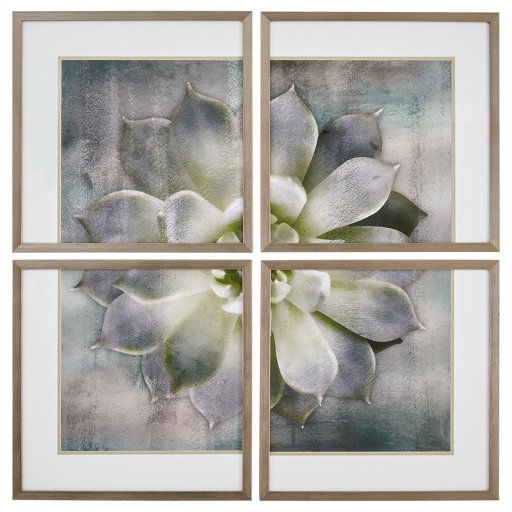 Amazon Brand – Stone & Beam Classic 4-Piece Succulent Print, Wood-Tone Frame, 20" x 20"