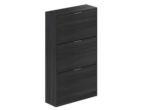 Amazon Brand - Movian Inari 3-door Shoe Cabinet/Cupboard/Organizer, 25 x 75 x 128 cm, Dark Grey