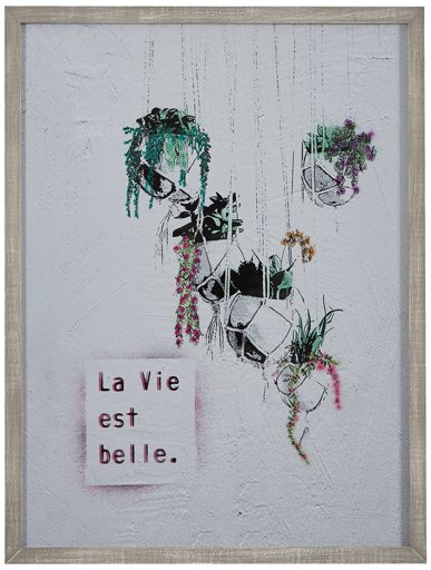 Amazon Brand – Rivet Life is Beautiful Hanging Plants Print Wall Art in Gray Wood Frame, 16.5" x 20.5"