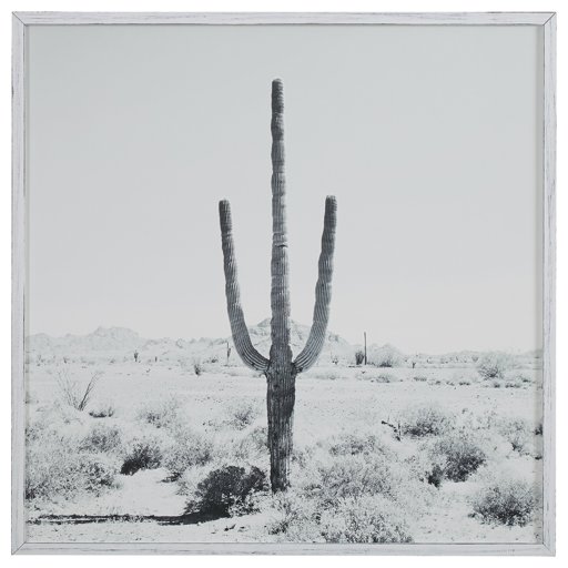 Amazon Brand – Stone & Beam Modern Black and White Desert Cactus Photo on Wood, White Frame, 30" x 30"