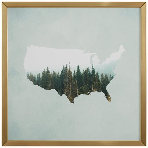 Amazon Brand – Rivet American Forest Map Wall Art Print in Gold Wood Frame, 12" x 12"