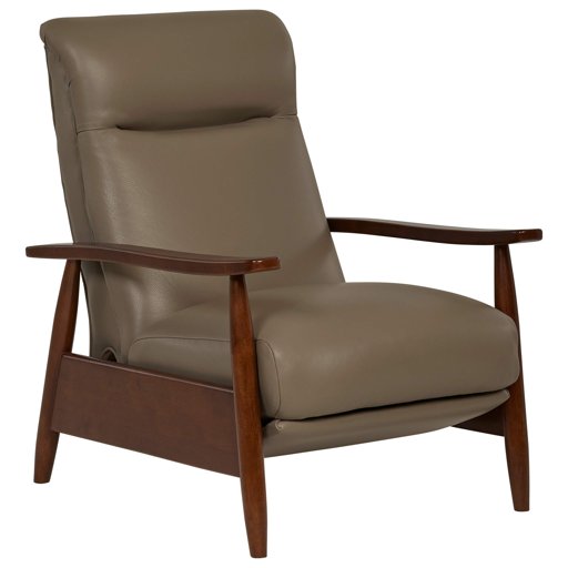 Amazon Brand – Stone & Beam Clayton Reclining Contemporary Leather Living-Room Chair, 30"W, Gray
