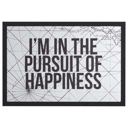 Amazon Brand – Rivet Modern Pursuit of Happiness Word Art Framed Mirror, Black Frame, 22" x 32"