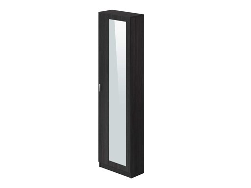 Amazon Brand - Movian Indre 1-Door Shoe Cabinet/Cupboard/Organizer with Mirror, 23 x 50 x 179cm, Dark Grey