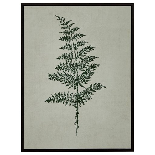 Amazon Brand – Stone & Beam Modern Print Wall Art of Green Fern, Espresso-Color Frame, 31.75" x 41.75"