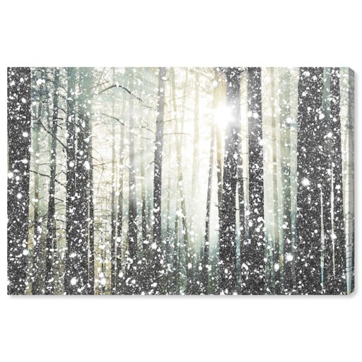 Amazon Brand – Stone & Beam Modern Silver and White Forest Print on Canvas Bathroom Wall Art Decor, 24" x 16"