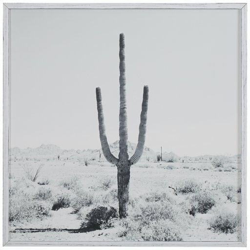 Amazon Brand – Stone & Beam Modern Black and White Desert Cactus Photo on Wood, White Frame, 20" x 20"