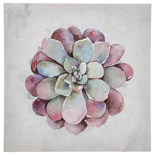 Amazon Brand – Stone & Beam Modern Green and Pink Echeveria Succulent Flower Print Wall Art Decor on Canvas - 24" x 24"