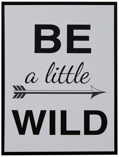 Amazon Brand – Rivet Be a Little Wild Black and White Word Wall Art in Black Frame, 17.75" x 21.75"