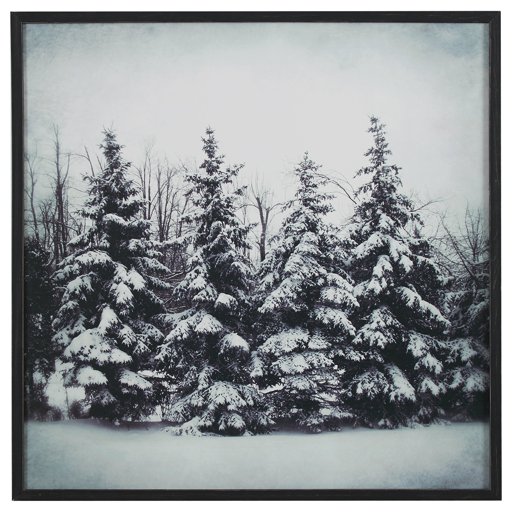 Amazon Brand – Stone & Beam Modern Black and White Print Wall Art of Forest Snow, Black Frame, 30" x 30"