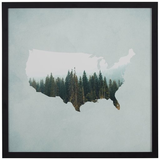 Amazon Brand – Rivet American Forest Map Wall Art Print in Black Wood Frame, 12" x 12"