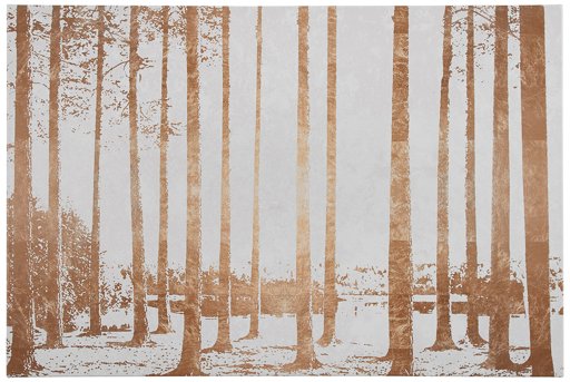 Amazon Brand – Rivet Copper-Toned Photo Print Wall Art of Sunrise Through the Trees in Swamp, 24" x 16"