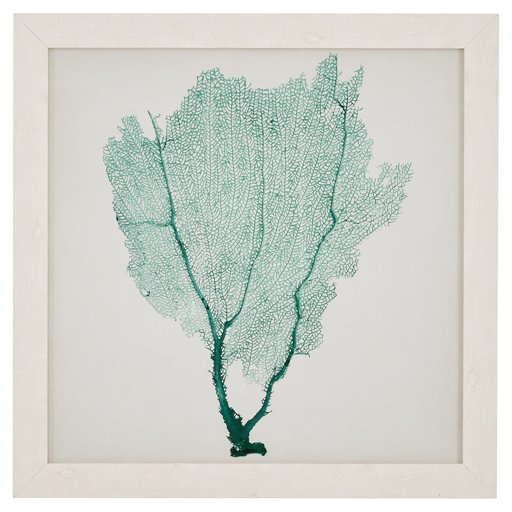 Amazon Brand – Stone & Beam Classic Teal Sea Fan Coral Coastal Print Wall Art Decor - 23" x 23" Picture Frame, White