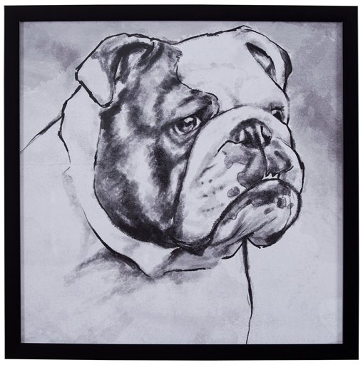 Amazon Brand – Stone & Beam Modern Black and White Print Wall Art of English Bulldog, Black Frame, 18" x 18"
