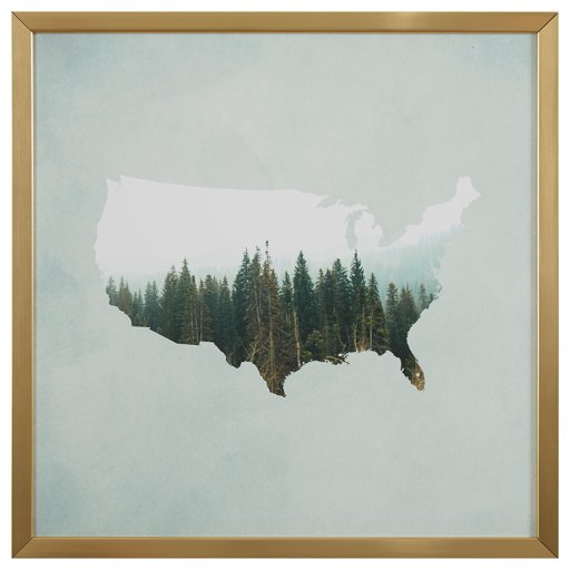 Amazon Brand – Rivet American Forest Map Wall Art Print in Gold Wood Frame, 30" x 30"