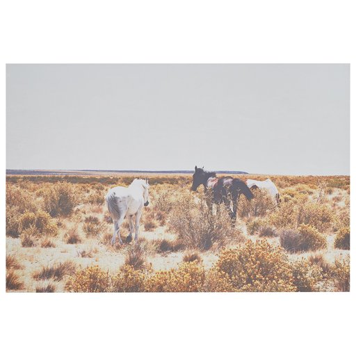 Amazon Brand – Rivet Canvas Print Wall Art of Horses Grazing in Desert Southwest Desert, 60" x 40"