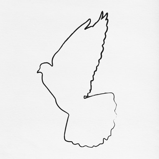 Amazon Brand – Stone & Beam Modern Left-Facing Bird Line Drawing, 24"W, Black & White
