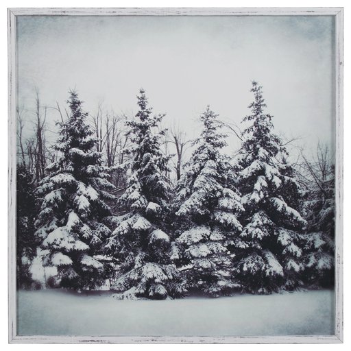 Amazon Brand – Stone & Beam Modern Black and White Print of Forest Snow, White Frame, 30" x 30"