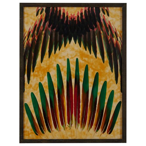 Amazon Brand – Rivet Spanned Red, Green and Gold Feathers in Dark Gray Frame Wall Art, 32" x 42"