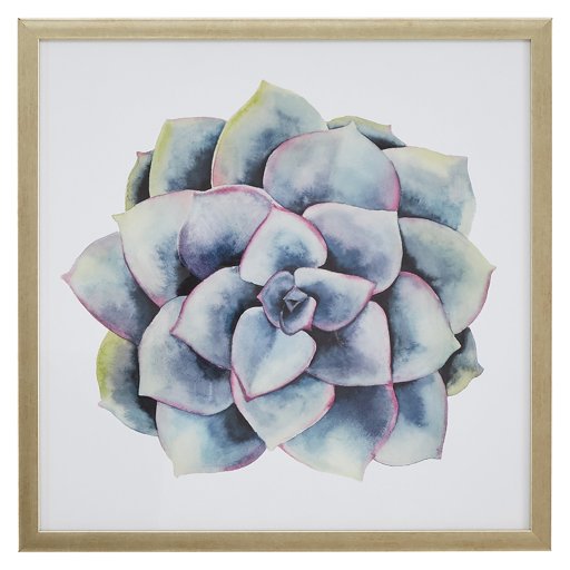 Amazon Brand – Stone & Beam Modern Blue and Purple Succulent Plant Print II Wall Art Decor - 20" x 20" Frame, Light Gold