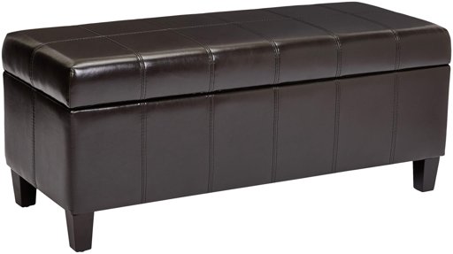 First Hill Damara Lift-Top Storage Ottoman Bench with Faux-Leather Upholstery, Mocha Brown