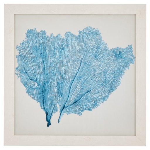 Amazon Brand – Stone & Beam Classic Aqua Sea Fan Coral Coastal Print Wall Art Decor - 23" x 23" Picture Frame, White