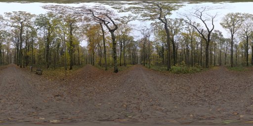 Autumn Crossing