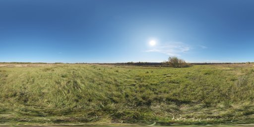 Autumn Field