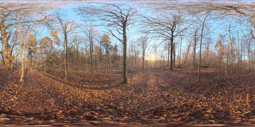 Autumn Forest 04