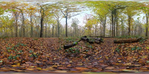 Autumn Ground
