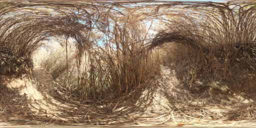 Bamboo Tunnel