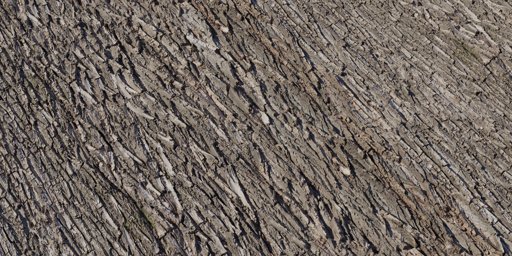 Bark Willow 02