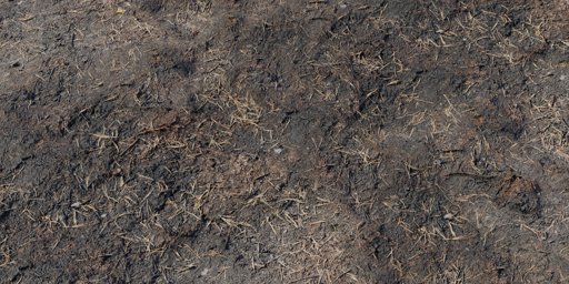 Burned Ground 01