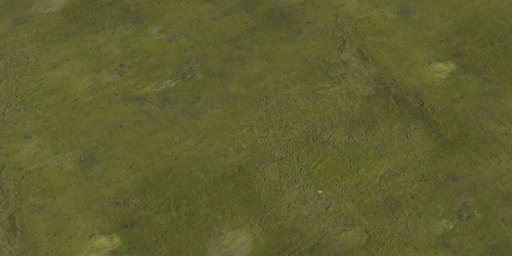 Concrete Moss