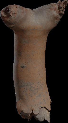 Dead Quiver Branch 02