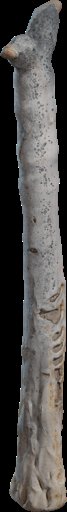 Dead Quiver Trunk