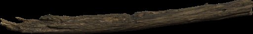 Dead Tree Trunk