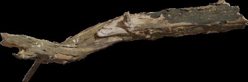 Dead Tree Trunk 02