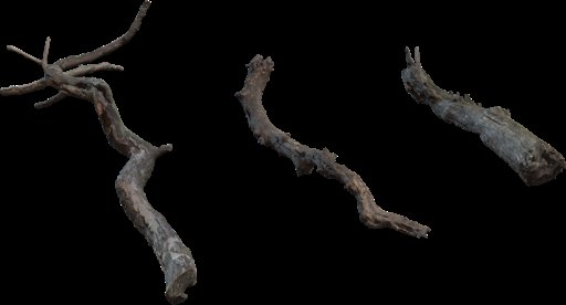 Dry Branches Medium 01