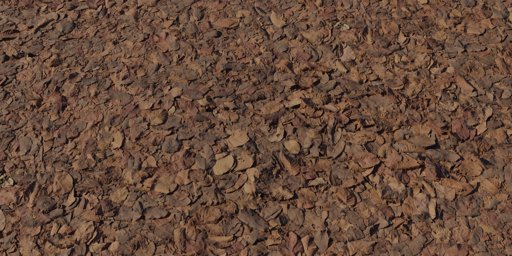 Dry Decay Leaves