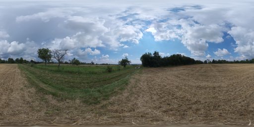 Dry Hay Field