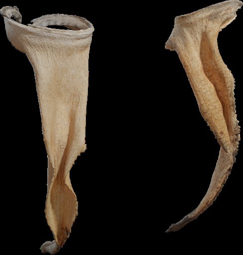 Dry Quiver Leaf
