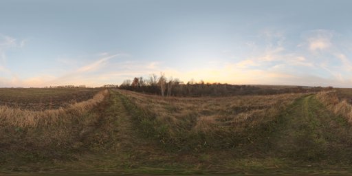 Evening Field