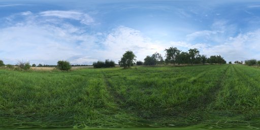 Evening Meadow