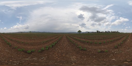 Farm Field
