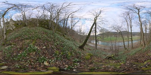Flower Hillside