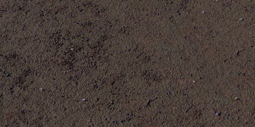 Flower Scattered Asphalt