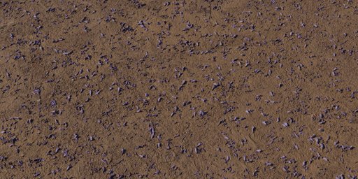 Flower Scattered Dirt