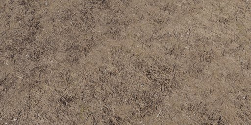 Forest Ground 03