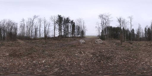 Hochsal Forest